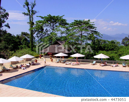 度假村的泳池邊 4473051