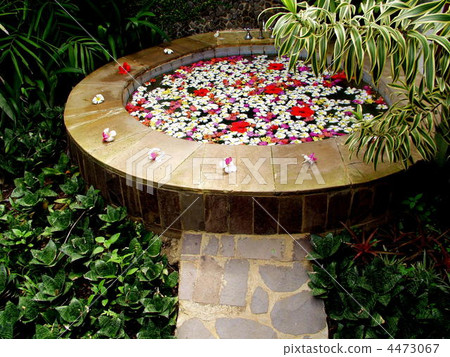 南國度假村的花卉按摩浴缸 4473067