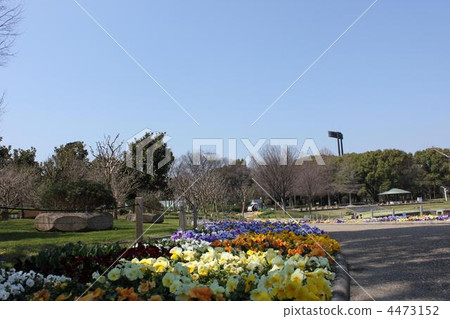 Osaka Nagai Park 4473152