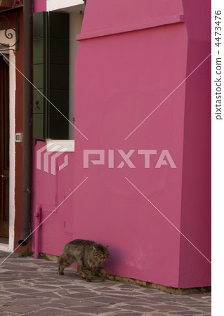 布拉諾色57 布拉諾色57 4473476