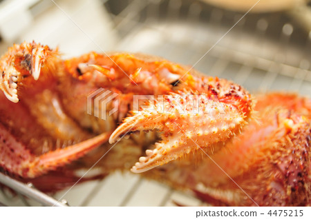 Hair crab Hair crab 4475215