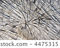 stub, stump, stumps 4475315