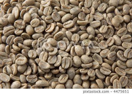 咖啡生豆 4475651