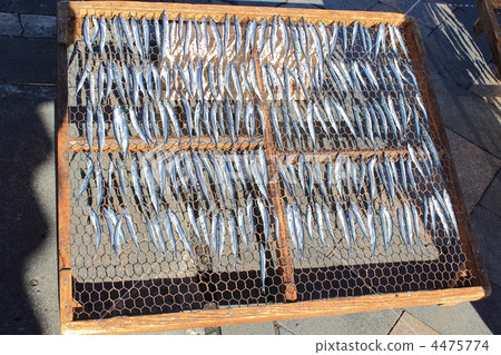 沙丁魚乾 4475774