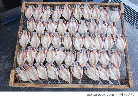 幹馬鯖魚 4475775