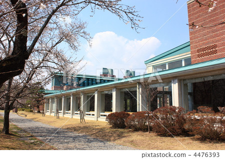 高知縣立高知技術大學佐倉 4476393