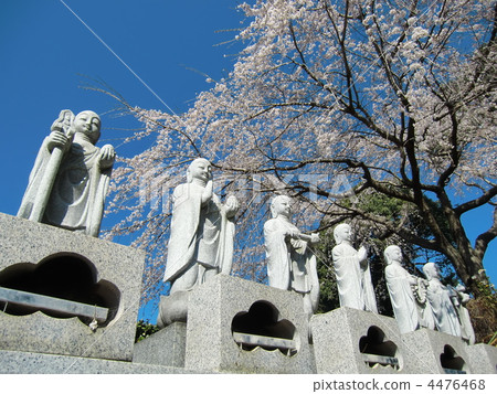 Rokuzo 4476468