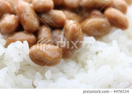 納豆飯 納豆飯 4476534