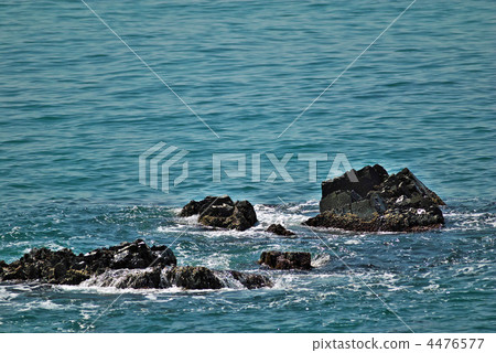 Rocky Field @ Tsuruga Peninsula 3 Rocky Field @ Tsuruga Peninsula 3 4476577