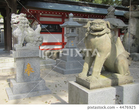在Umi Hachimangu寺廟的監護人狗 在Umi Hachimangu寺廟的監護人狗 4476925