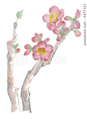 Blurred flowers 4477123