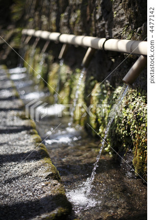 神奇的水 神奇的水 4477142