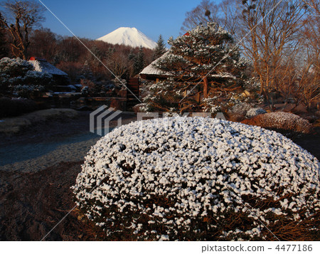 忍野村等待春天 4477186