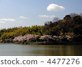 在池塘周圍 4477276