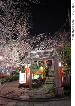 Gion Shirakawa Tatsumi Omijin和傍晚的櫻花樹 Gion Shirakawa Tatsumi Omijin和傍晚的櫻花樹 4477369