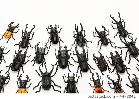 Horde of insects 4478041