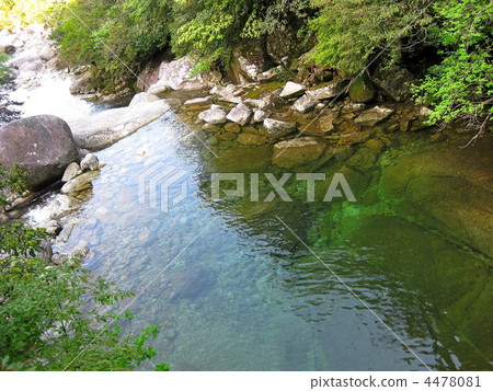 屋久島美麗清澈的河流 4478081