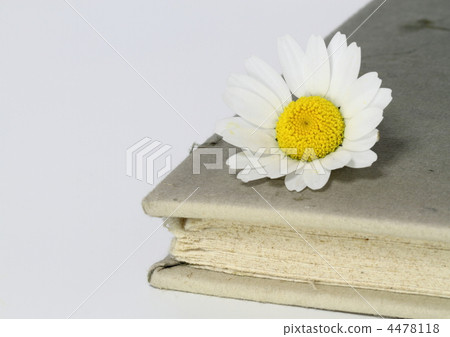 舊書和北極花 4478118