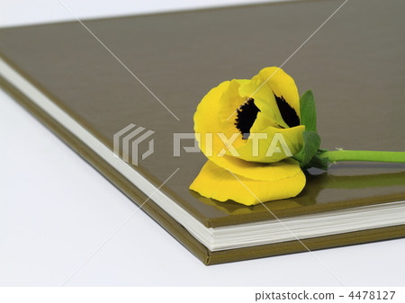 Books and pansies 4478127