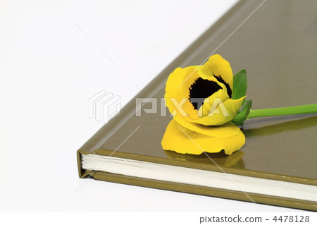 Books and pansies Books and pansies 4478128