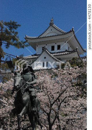Ogaki castle and cherry blossoms 4478130