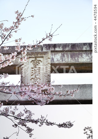 Cherry blossoms at Kamonmon shrine Cherry blossoms at Kamonmon shrine 4478594