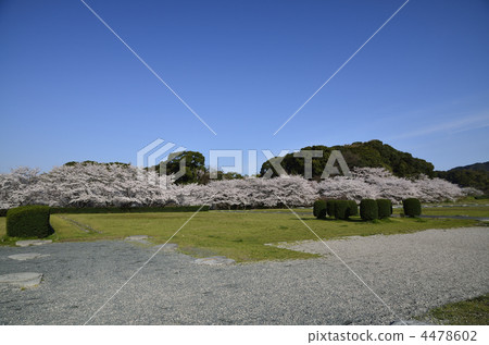 太宰府政府的廢墟 4478602