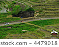 水稻 丸山千枚田 梯田 4479018