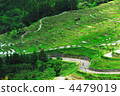 丸山千枚田 梯田 水稻 4479019
