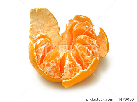 mandarin isolated on white 4479090