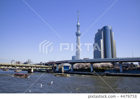 Spring Sky Tree and Sumida River 4479758