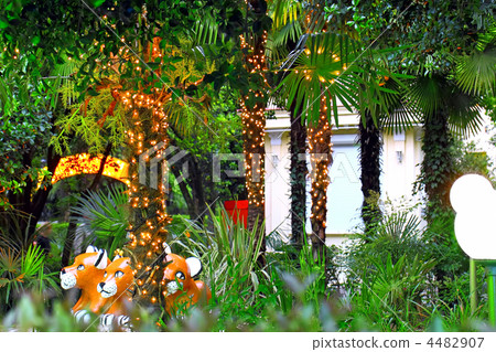 Park Riviera in Sochi city, 4482907
