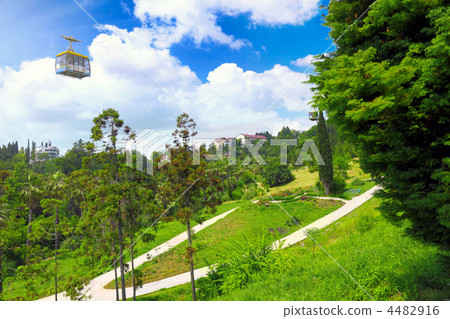 Funicular in tropical park Arboretum , Sochi city Funicular in tropical park Arboretum , Sochi city 4482916