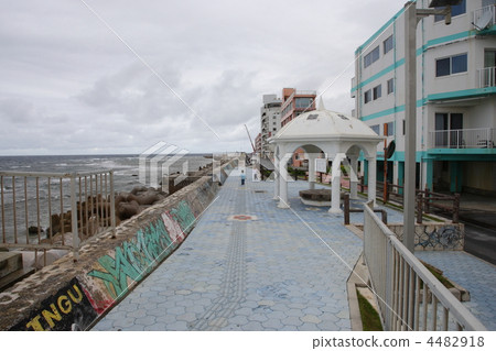 宮城海岸·潛水,衝浪點 宮城海岸·潛水,衝浪點 4482918