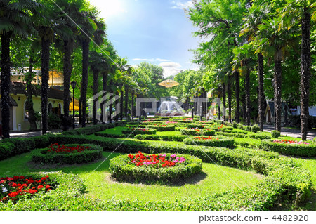 Park Riviera in Sochi city Park Riviera in Sochi city 4482920
