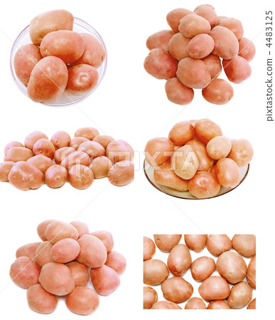 Collage of Young pink potato. Isolated 4483125