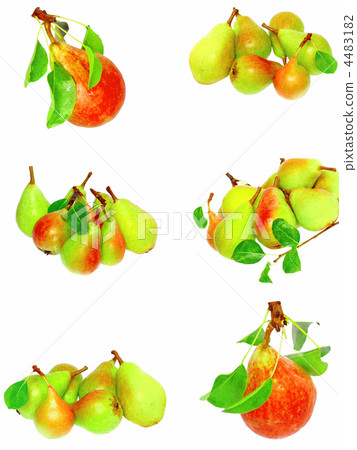 Collection of pears and green leaf. Isolated 4483182