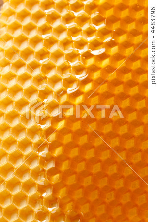 fresh honey in comb fresh honey in comb 4483796