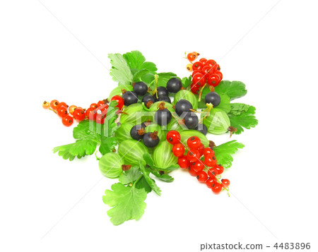 Berry mix-red , black currant, with leaf.Isolated. 4483896