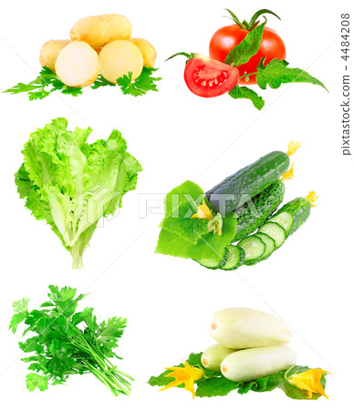 Collage of vegetables on white background. Collage of vegetables on white background. 4484208