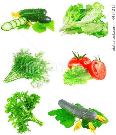 Collage of vegetables on white background. 4484213