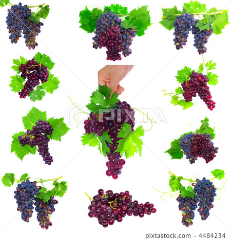 Collage of  grapes with foliage. Isolated 4484234