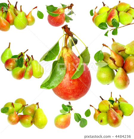 Collection of pears and green leaf. Isolated 4484236