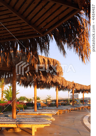 Early morning near the pool. Sunrise. 4484487