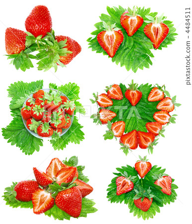 Collection of strawberries on white. Isolated Collection of strawberries on white. Isolated 4484511