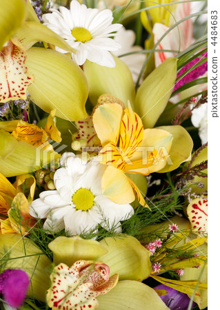 beautiful bouquet beautiful bouquet 4484683