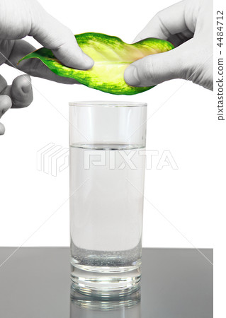 Ecology -green leaf in glass of water. Ecology -green leaf in glass of water. 4484712