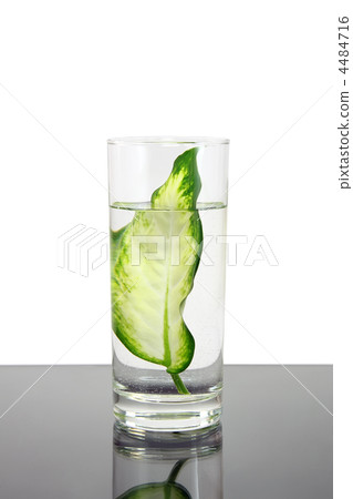 Ecology -green leaf in glass of water. 4484716