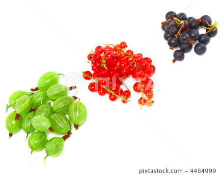Berry mix- red and black currant. Isolated. Berry mix- red and black currant. Isolated. 4484999