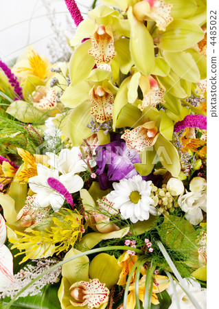 beautiful bouquet beautiful bouquet 4485022